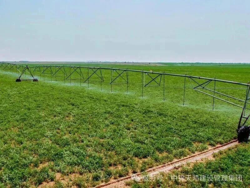 天鴻動態 | 喜報！集團成功中標內蒙古三北工程重大生態修復項目